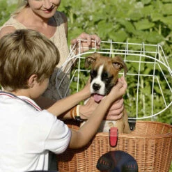 Kit Panier Vélo Chien Doggy Plus + Fixation GTA Klickfix -Magasin D'accessoires De Vélo kit panier velo chien doggy plus fixation gta klickfix full 6