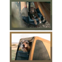 Remorque Vélo Chien Et Chat Enna Croozer 35 Kg 12 Remorque Vélo Chien Et Chat Enna Croozer 35 Kg -Magasin D'accessoires De Vélo remorque velo chien chat croozer enna